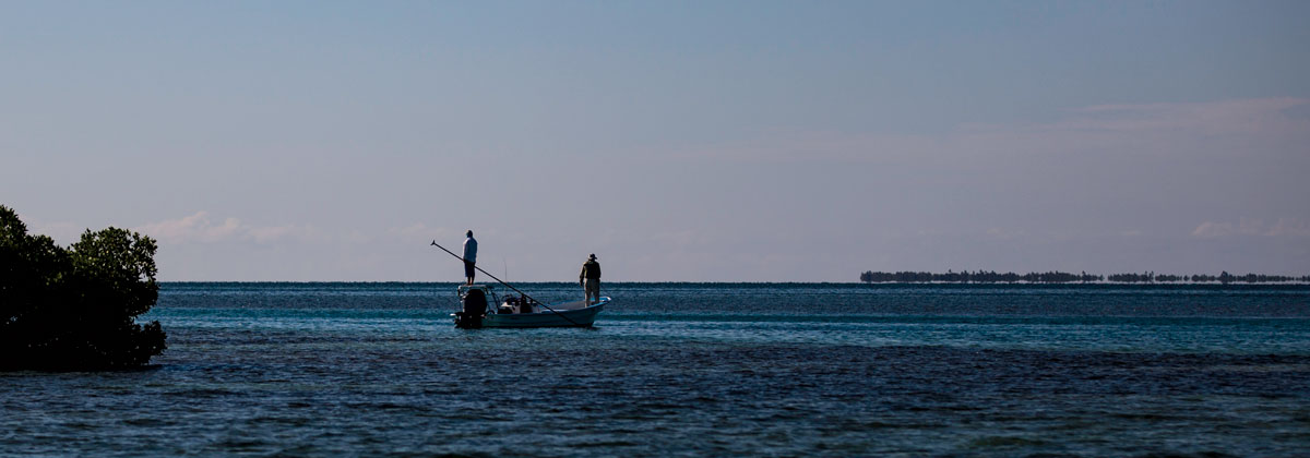 Permalink to: Homepage