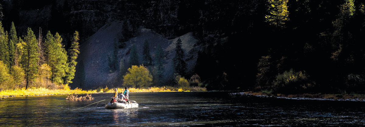 Permalink to: Orvis Contact Information