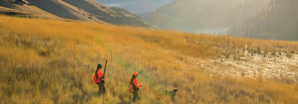 Permalink to: FAQs- WIP